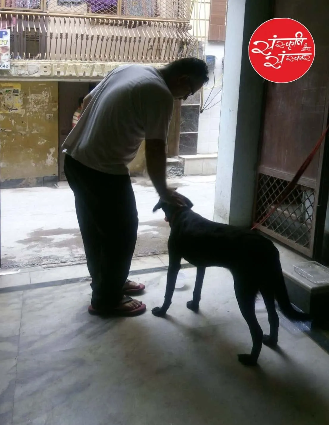 Befriending a street dog at the doorstep