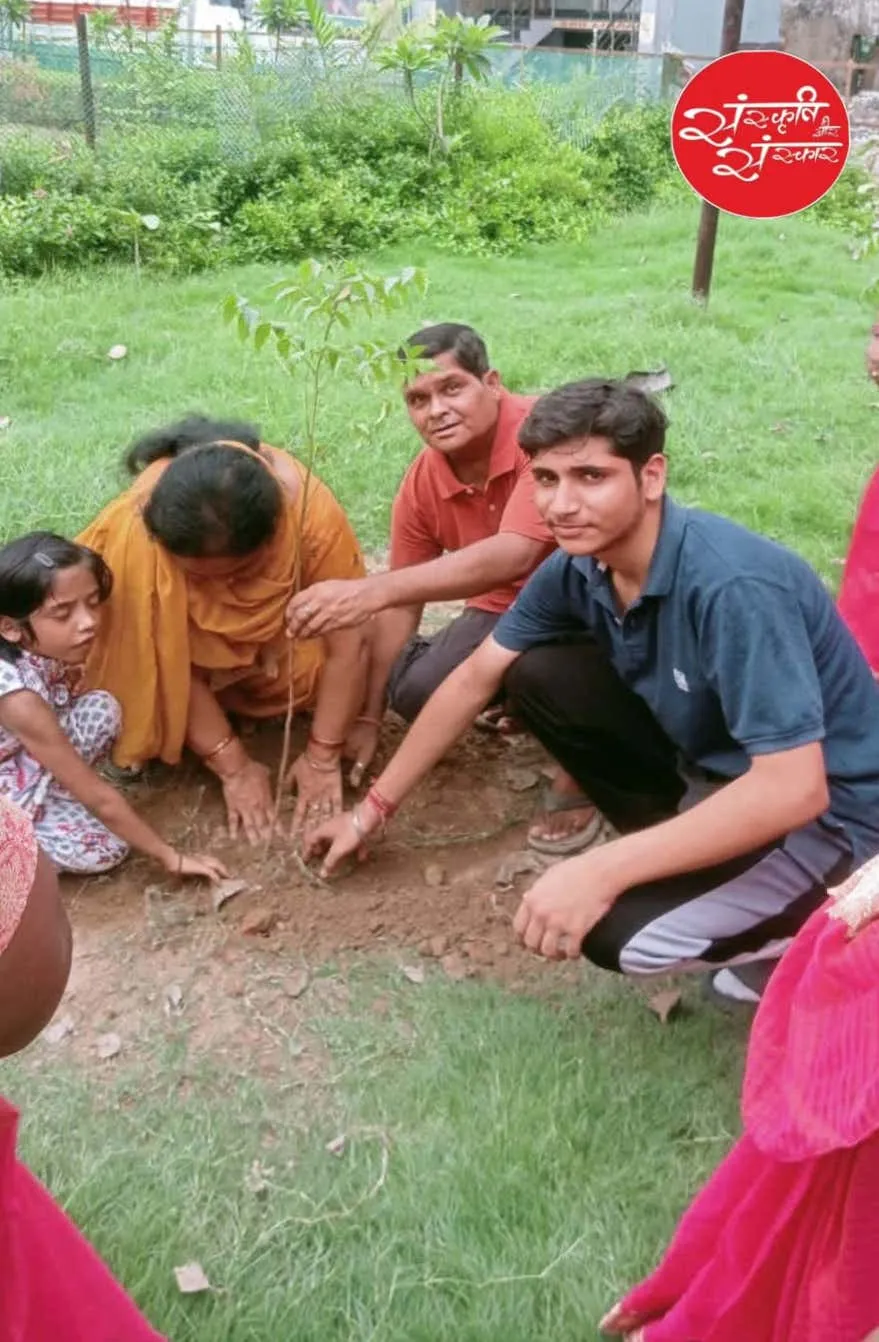 Children helping settle the young plant