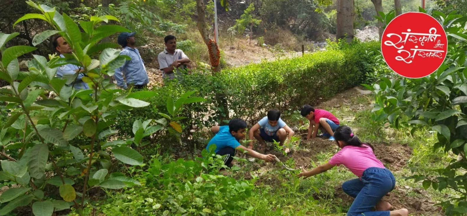 Saplings finding their place in the soil