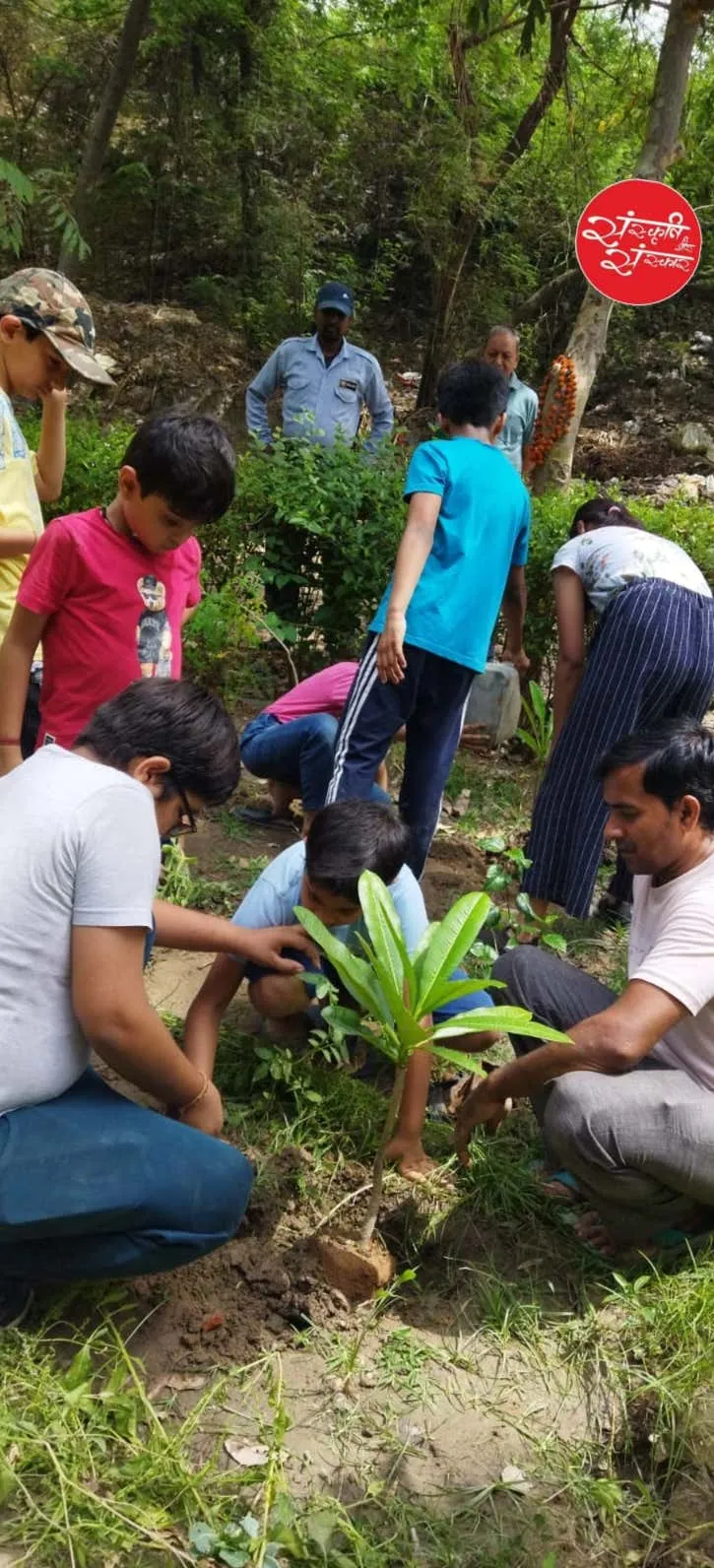 Young hands tending to a new tree